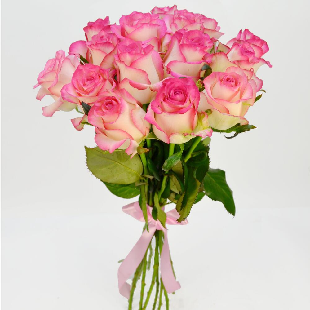 15 бело-розовых роз Киев